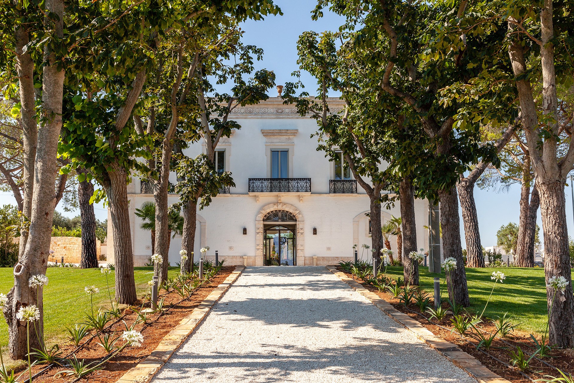 Masseria Palmieri, Villas in Puglia | The Thinking Traveller